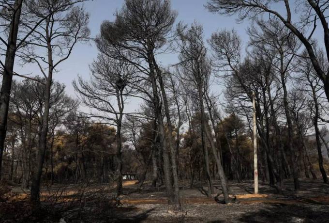 Συνελήφθη ύποπτος για την φωτιά στην Βαρυμπόμπη